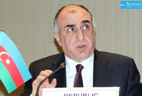 Syria’s territorial integrity has to be guaranteed - Azerbaijan